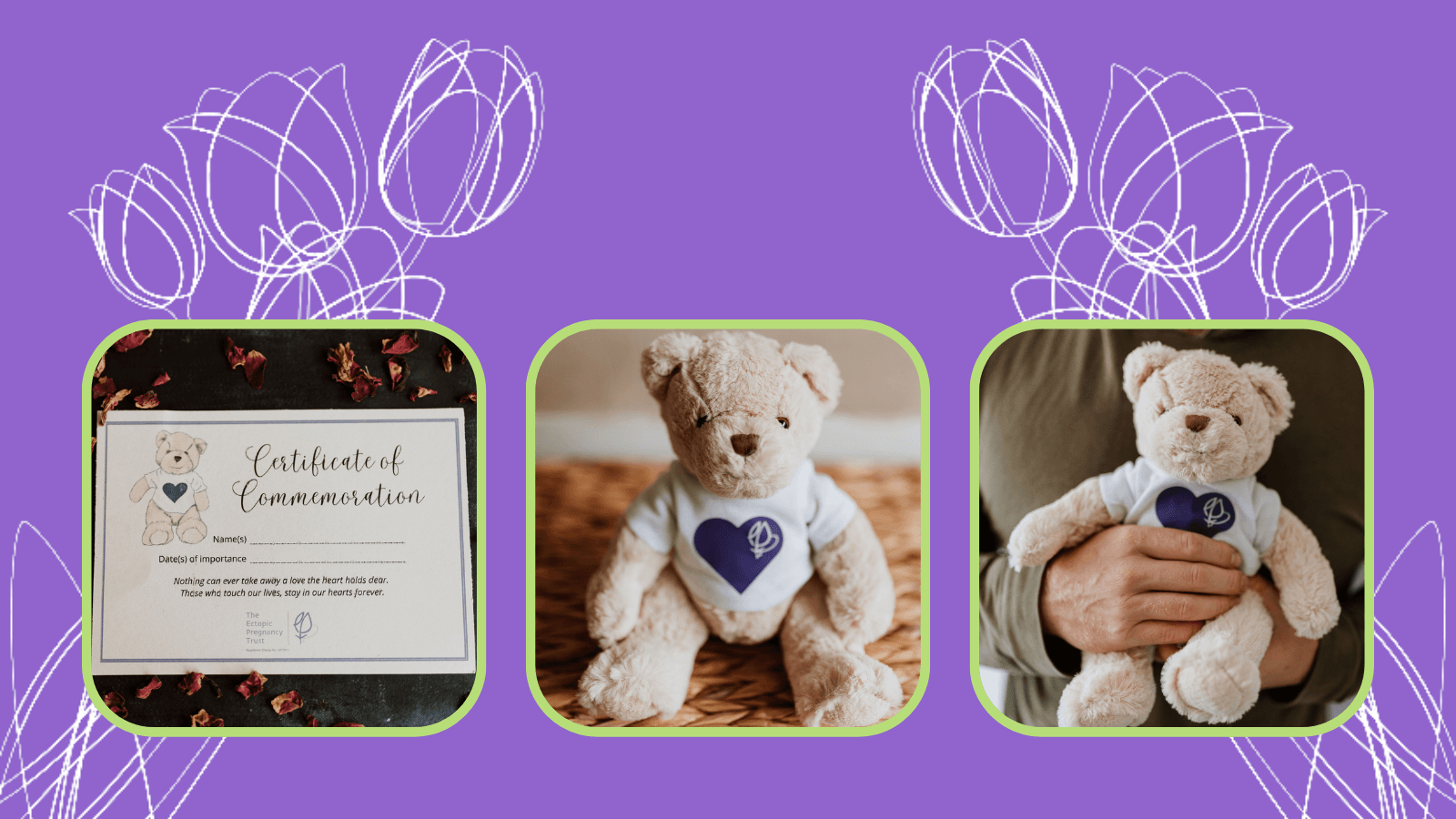 Banner with three images of the Ectopic Pregnancy Trust Teddy Bear, a gift idea for Baby Loss Awarness Week