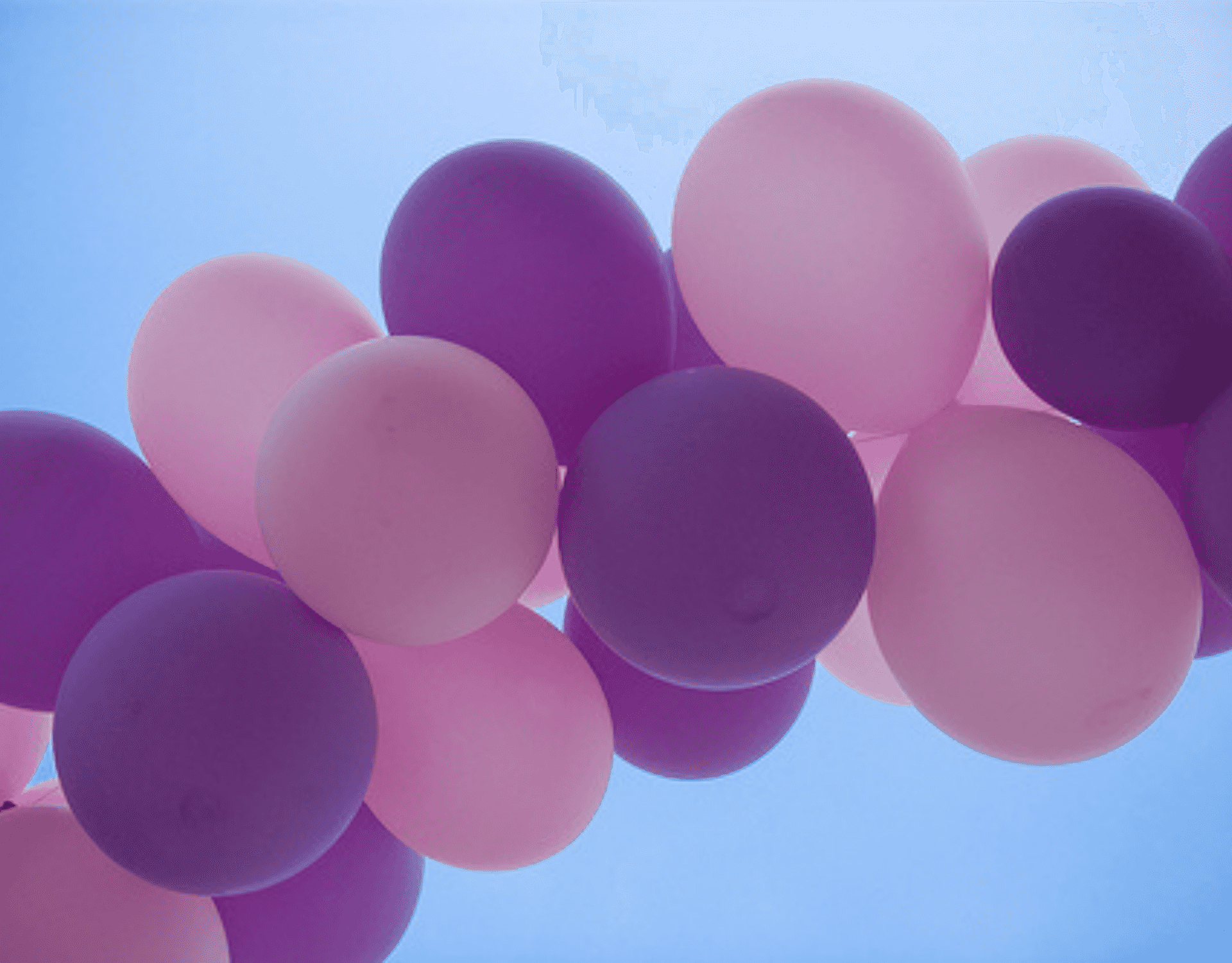 Image description: pink and purple balloons